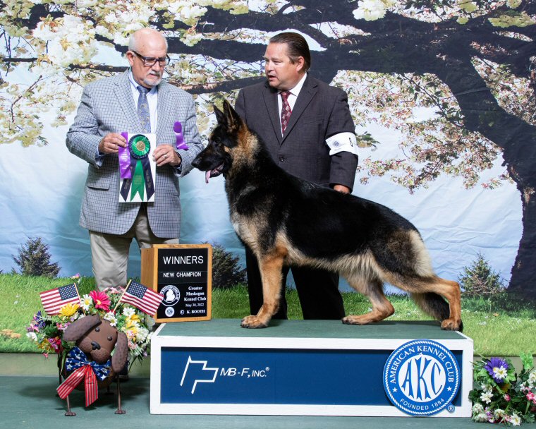 Adelhorst kennels outlet